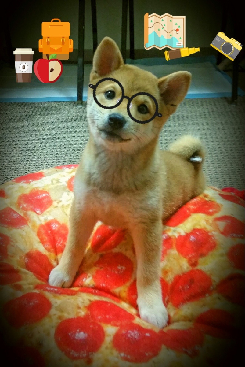 开云网页版登录入口-中小学体育教师专业能力提升路径探讨与实践，中小学体育教师应具备哪些核心素养  第4张