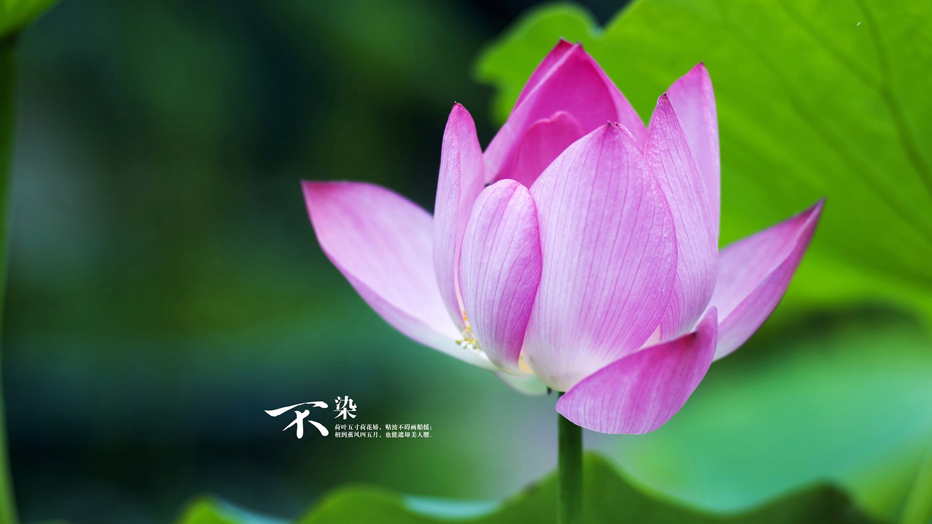 kaiyun官方网站-中小学体育教师创新教学策略，创新教学在小学体育教学中的重要性  第5张