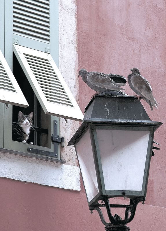 开云网页版登录入口-中小学体育教师教学方法创新探索，浅谈小学体育教学的创新