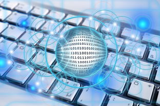 kaiyun登录入口-中小学体育教师数字化教学能力提升路径，数字化体育教学应用