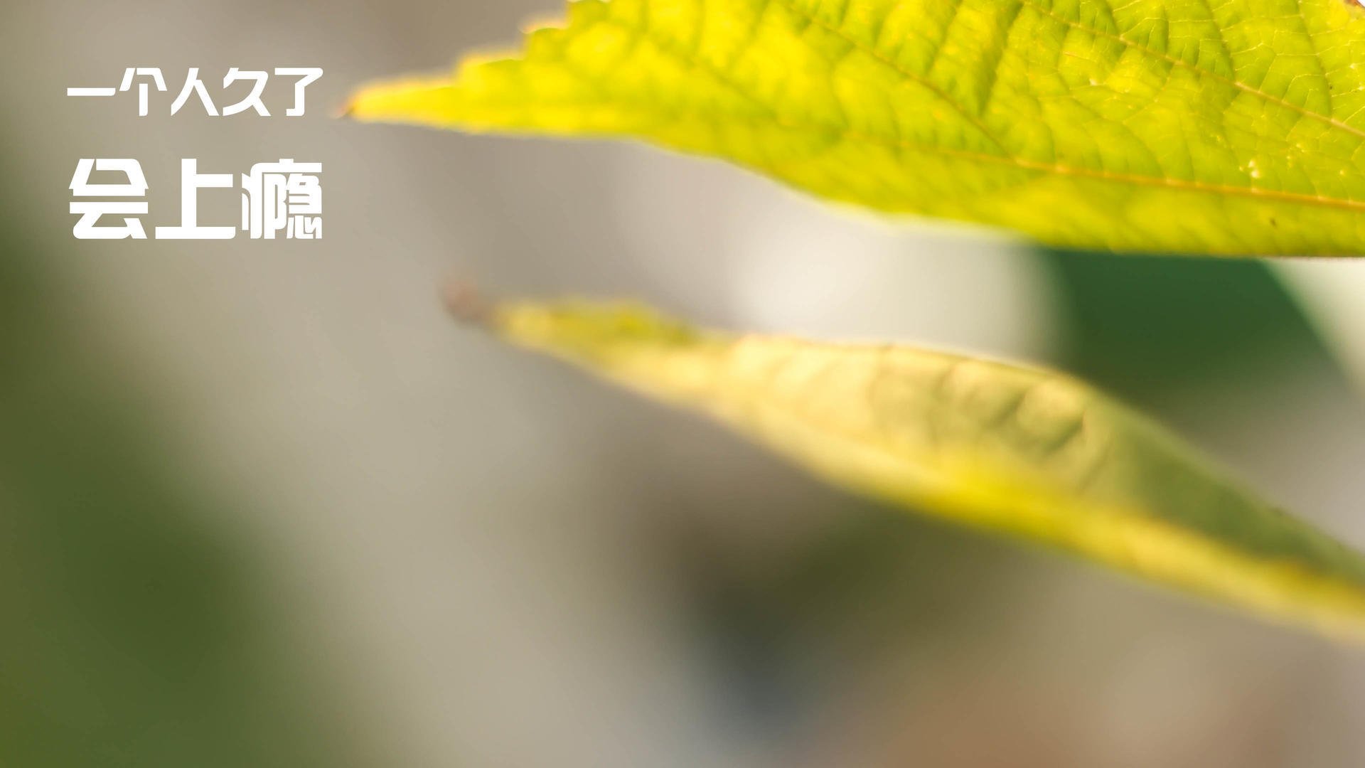 开云官方网页登录-年度最佳队伍：五大联赛的表现指标白皮书，五大联赛最佳阵容2021