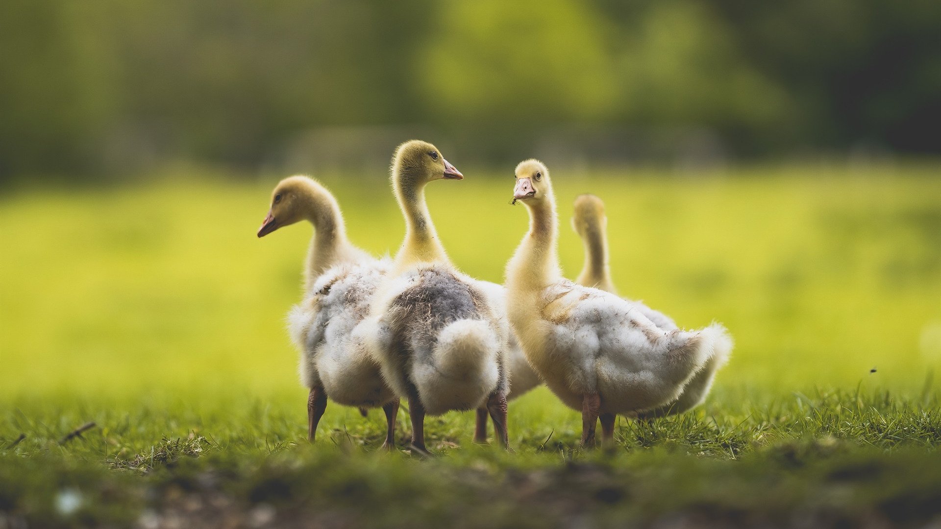 Kaiyun(中国)开云-运动干预对慢性病防控成效的跟踪评估报告,运动与慢病防治心得体会 第3张 Kaiyun(中国)开云-运动干预对慢性病防控成效的跟踪评估报告,运动与慢病防治心得体会 第3张