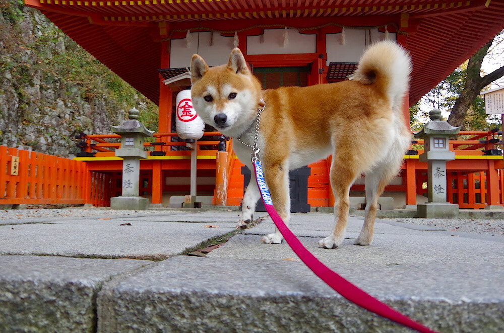 kaiyun开云·官方网站-青少年运动兴趣培养方案，青少年运动兴趣培养方案设计  第1张