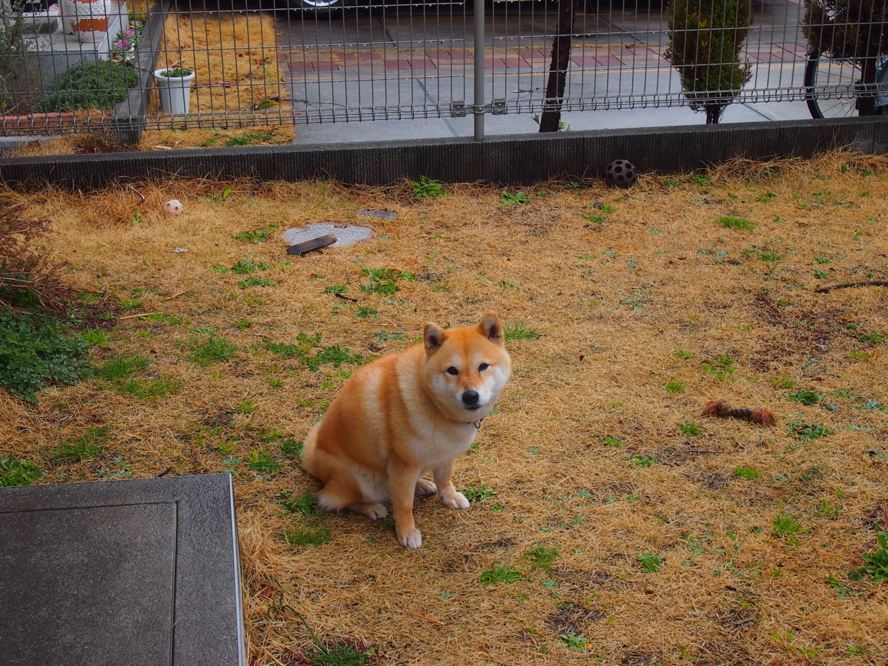 KAIYUNAPP-2025湖滨赛场:体育与自然的完美融合,2020湖滨跨年 第3张 KAIYUNAPP-2025湖滨赛场:体育与自然的完美融合,2020湖滨跨年 第3张