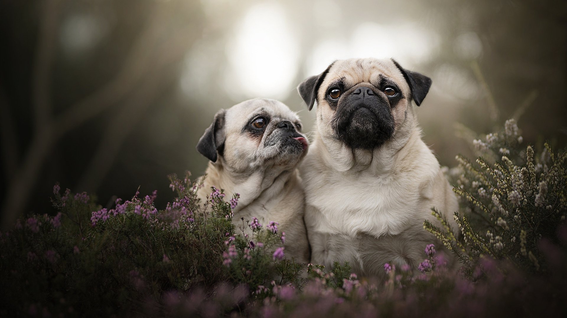 开云官网-“快艇冲浪：马鞍山赛场上演极速水上飞跃”  第3张