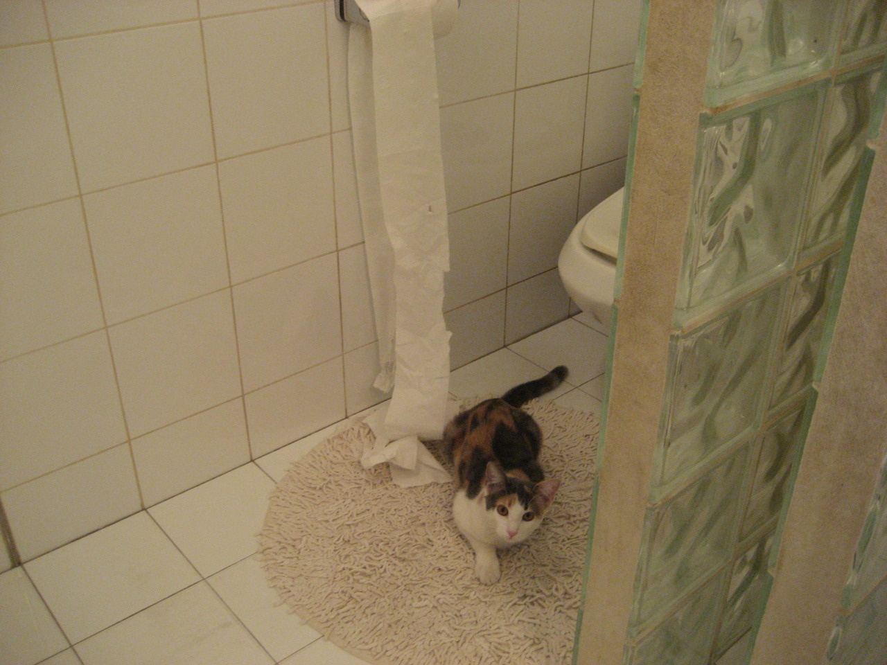 kaiyun体育app-体育纪录片平台上线独家幕后花絮频道，体育类的纪录片