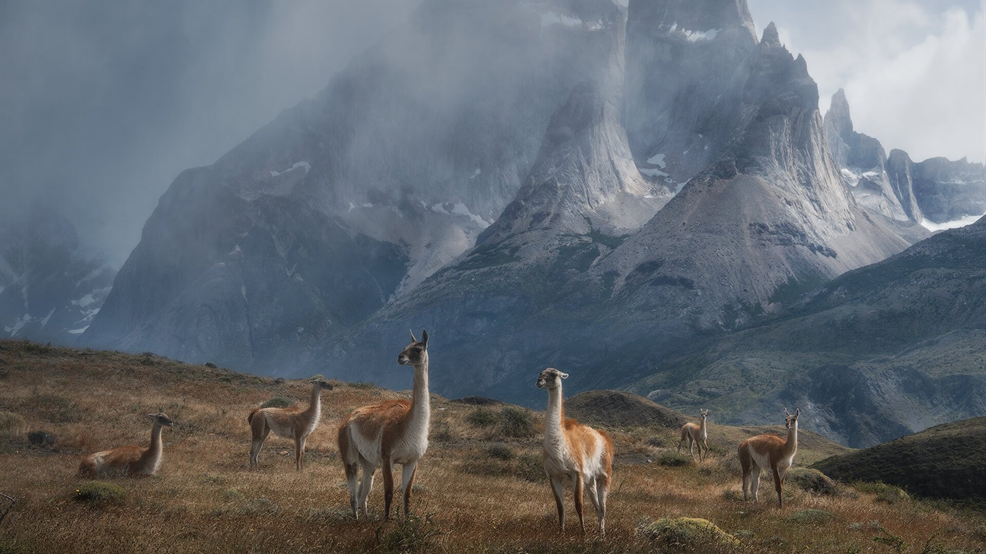 kaiyun官方网站-赛制变化背后的战略博弈：德国队如何应对国际乒联混合团体世界杯