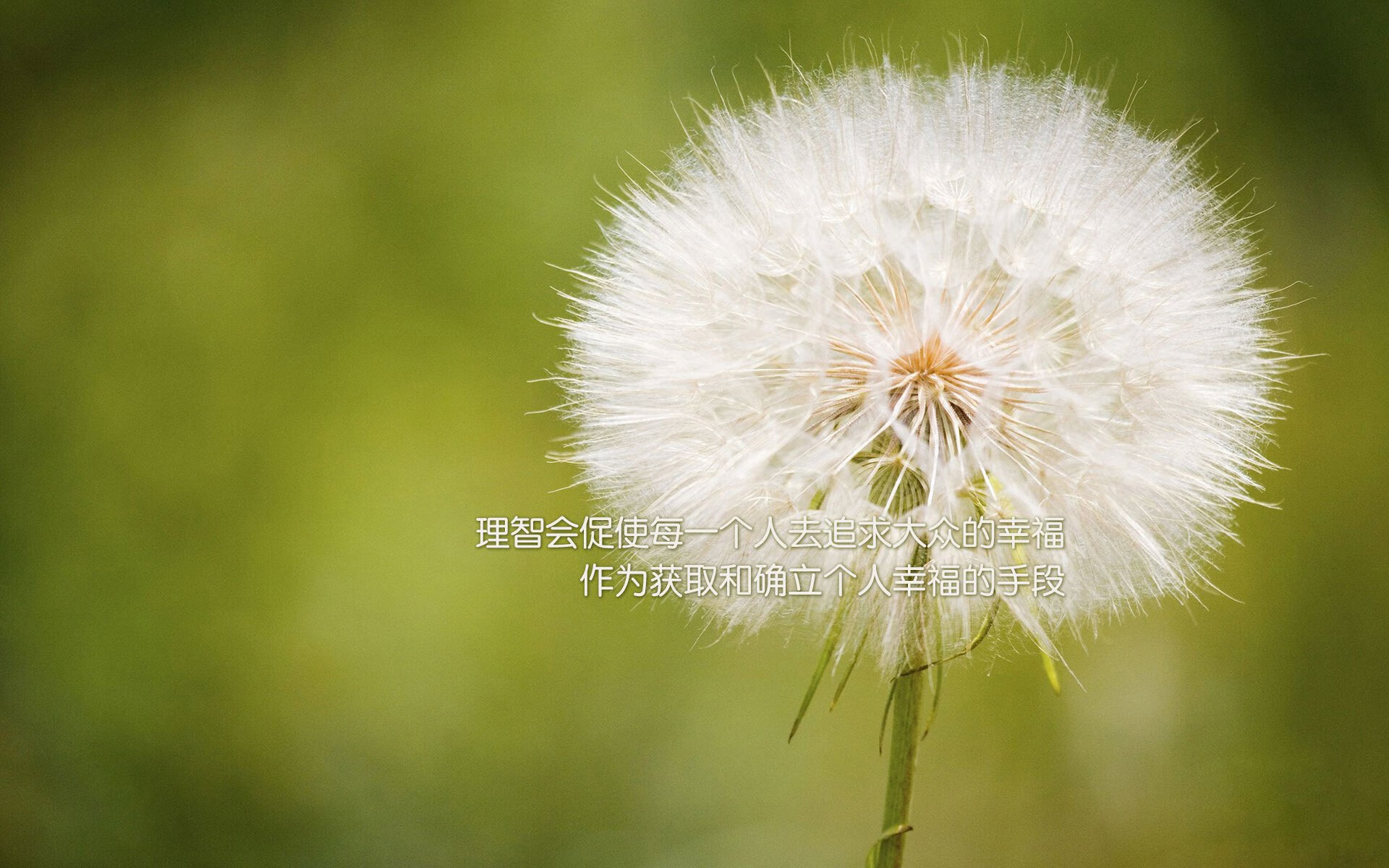 开云·Kaiyun网页版-足球联赛多地开战拉动城市人气，足球联赛开始