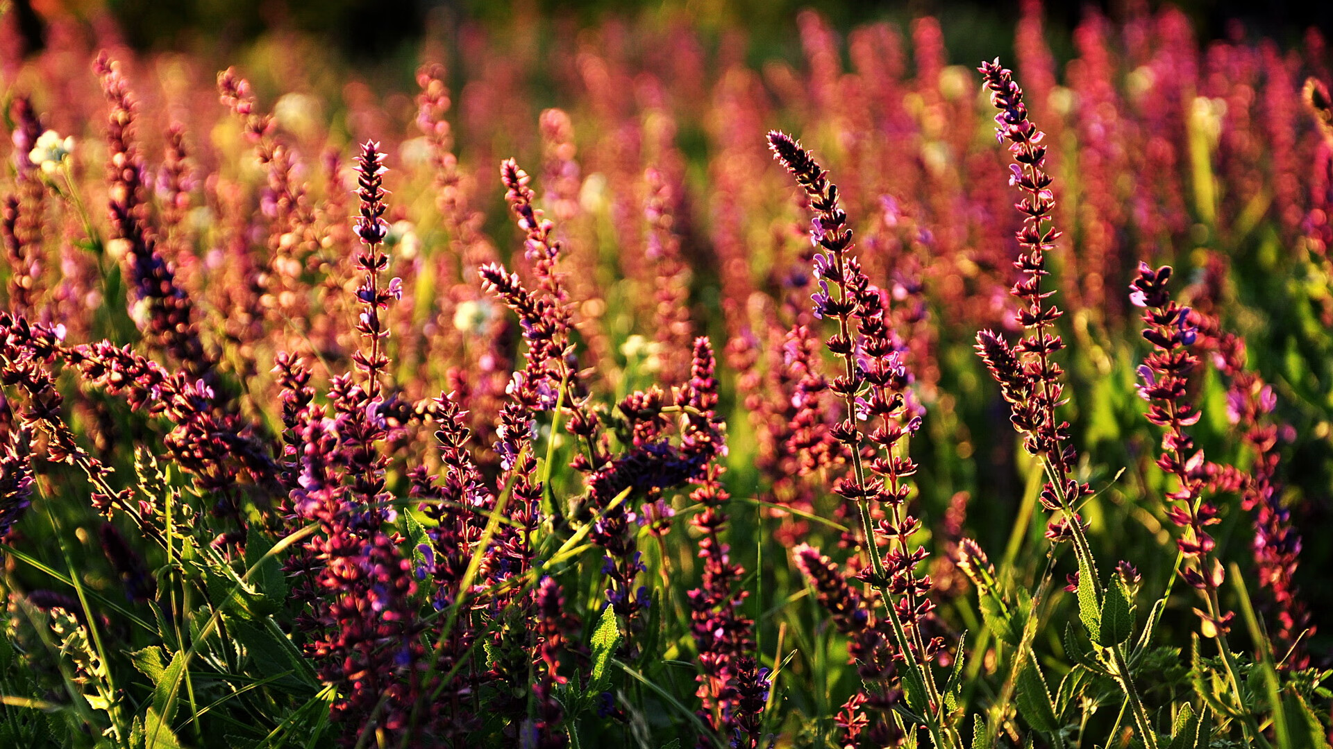 Kaiyun(中国)开云-中国女排主帅谈新阵容打造过程，中国女排新任主帅