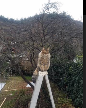 kaiyun中国官方网站-中国足球俱乐部推动球员个人品牌塑造培训，中国足球优秀人才库