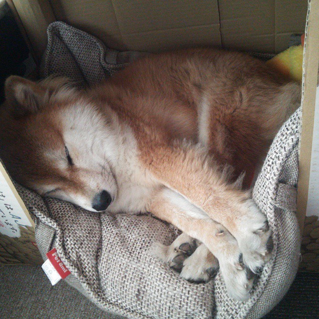 kaiyun.com-中超联赛数据分析师成为球队后勤核心岗位，中超数据网