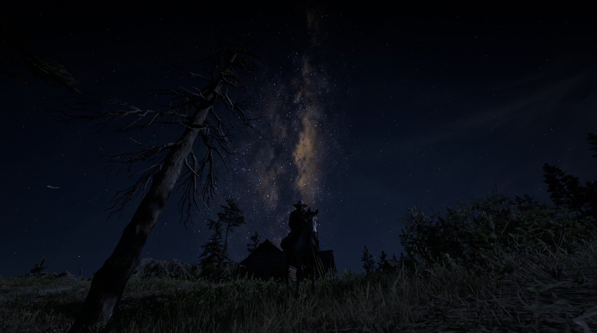 开云入口-冠军时刻：奥卡拉汉出水瞬间制胜，奥卡拉市