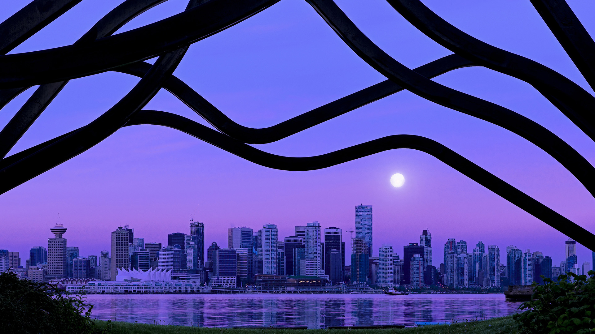 开云网页版-凯恩·瑞安：一位迅速崛起的全黑队核心球员，凯恩是哪队的