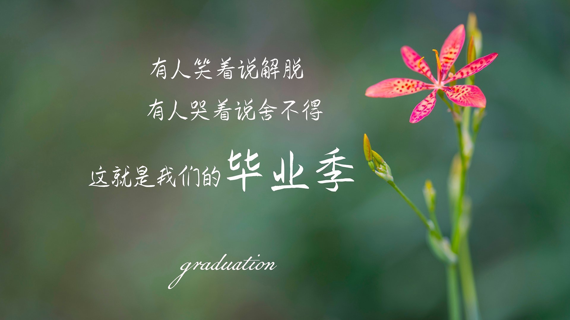 开云·体育官网-新签赞助商助力球队资金充裕运营环境全面改善，赞助球队能获得什么收益