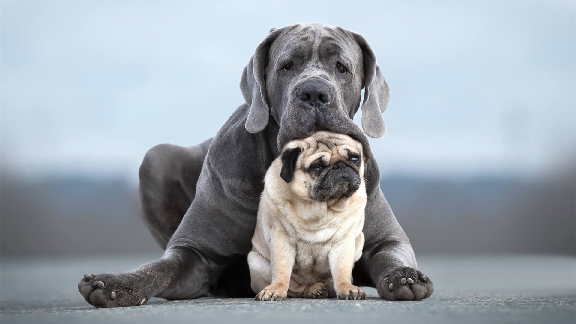 开云网页版-未来足球赛场将采用全息投影技术，创造沉浸式观赛体验，足球全景