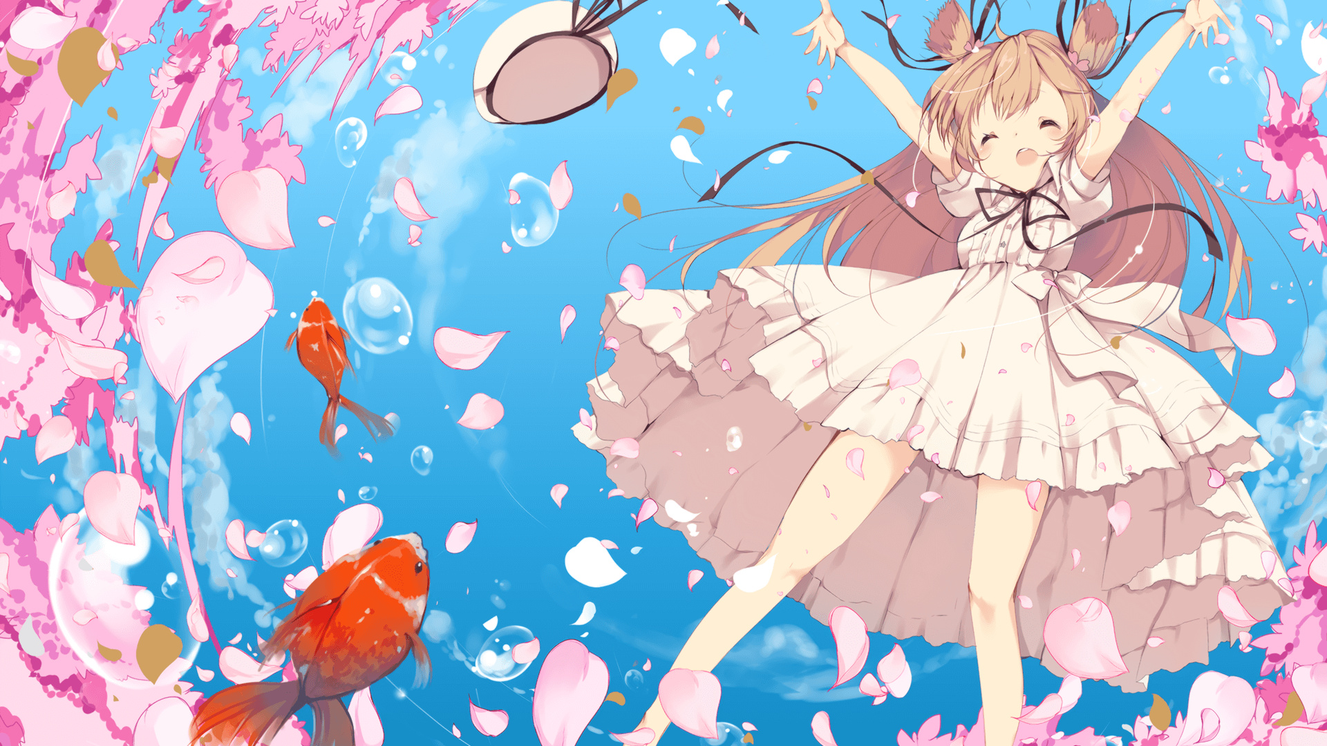 开云平台-自由泳个人赛朝鲜新星异军突起，自由泳比赛视频 高清