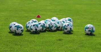 kaiyun中国官方网站-足球运动与健康管理结合，推广科学锻炼理念，足球运动的健康价值