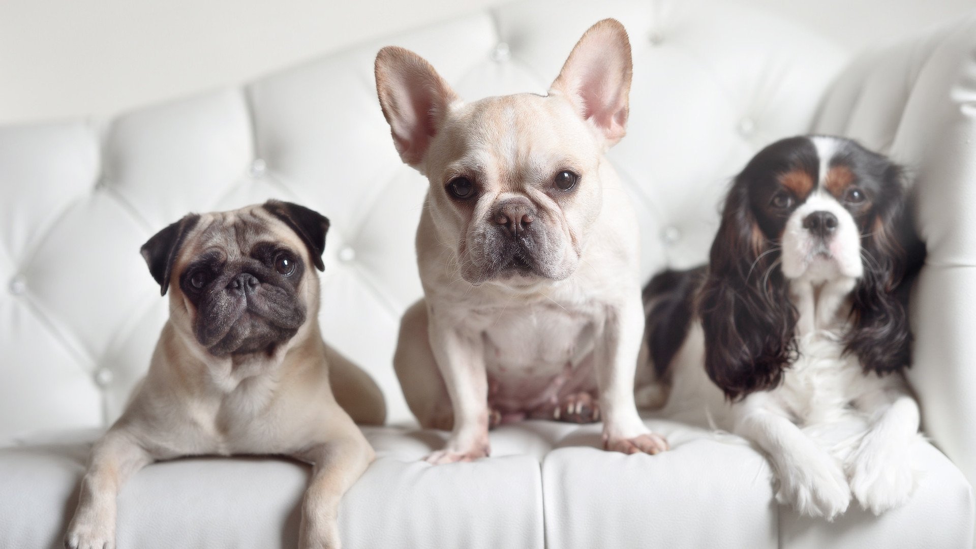 开云网页版登录入口-一项小事，蕴含大情怀，一项小事,蕴含大情怀的作文