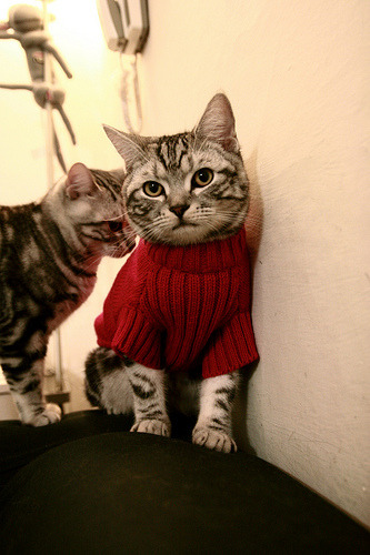 开云官方-中国篮球如何通过文化融合讲好球员故事，中国篮球应该如何发展