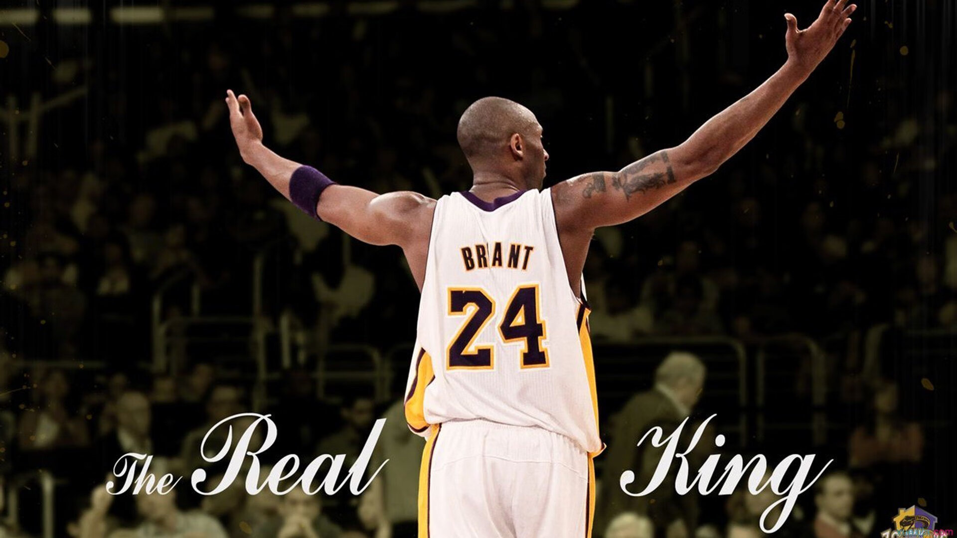 开云官方网页登录-中国篮球是否推动球员法律与合同课程普及化，中国篮球如何改革