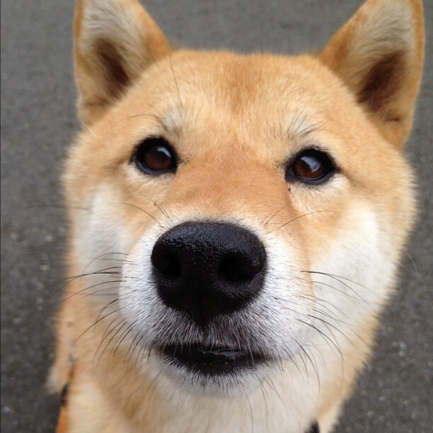 开云体育-中国足球俱乐部管理创新探索，中国足球职业俱乐部的发展