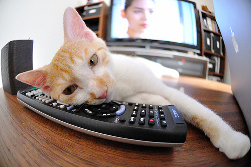 kaiyun体育app-中国足球女足与校园足球联动推广方式探讨，中国足球积弱多年,校园足球是返璞归真