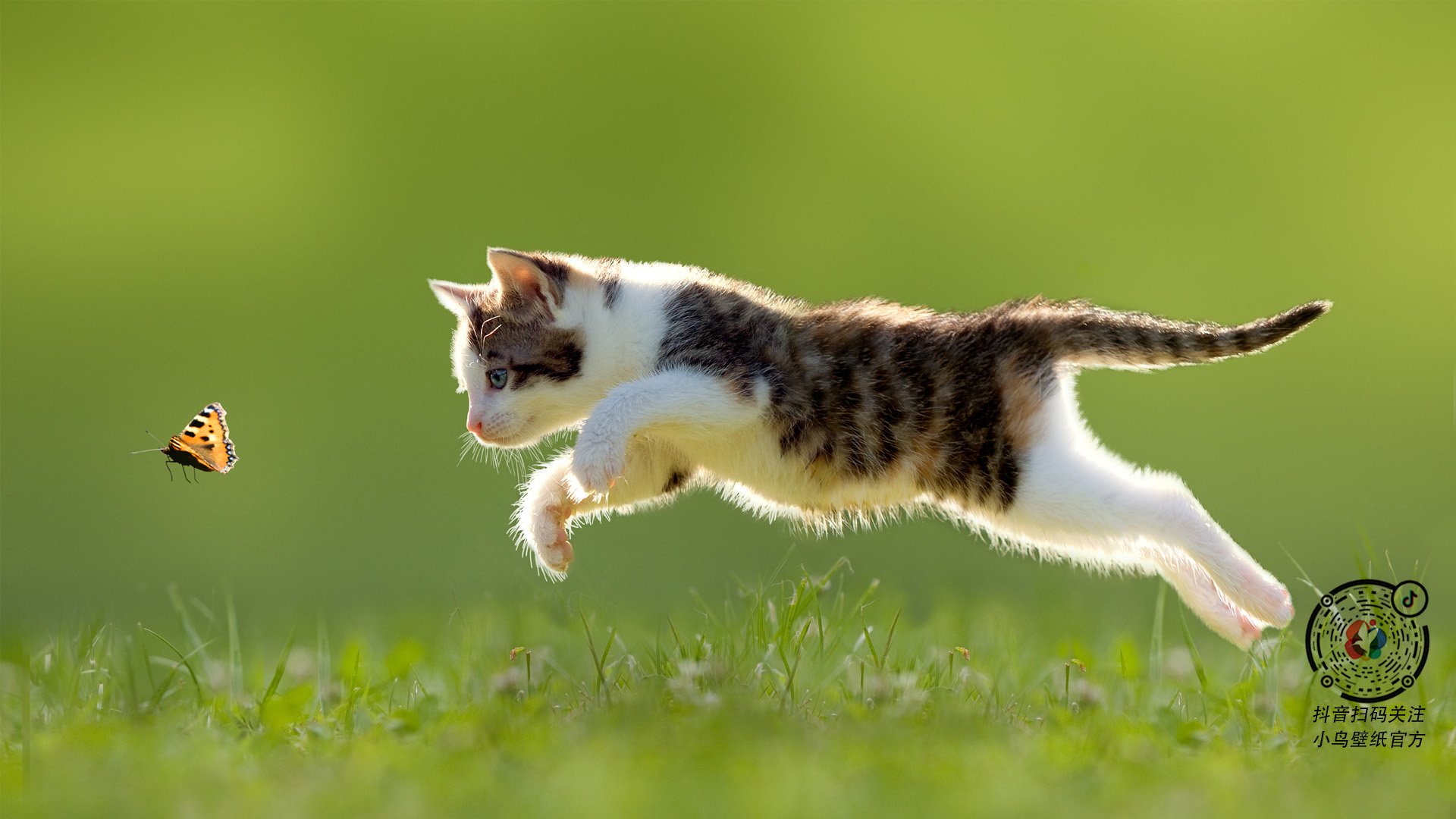 开云网页版-中超是否应该推出球员真实能力排行榜，中超球员能力值