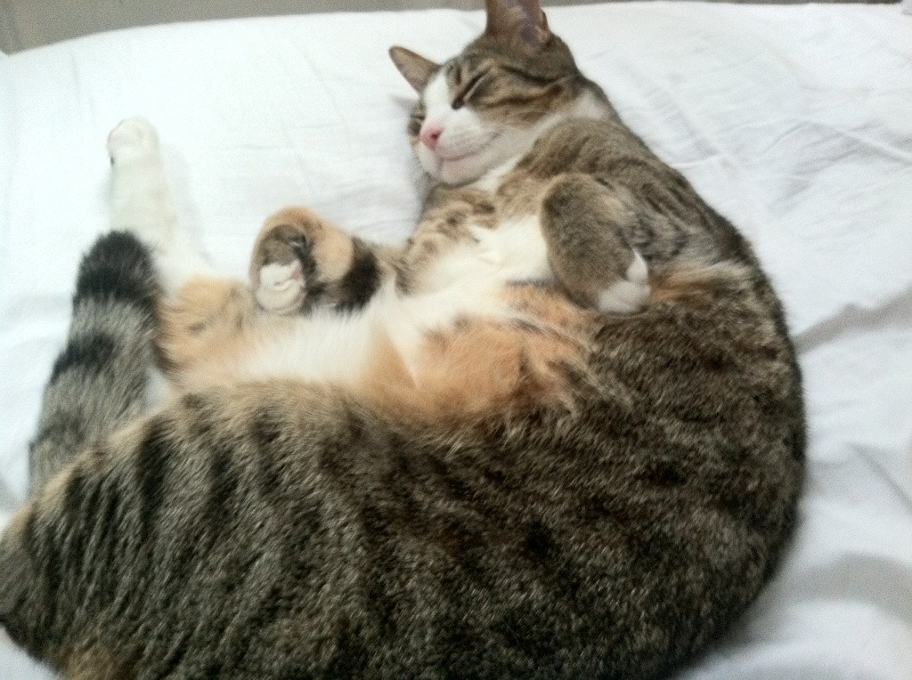 KAIYUN 中国大陆-五大联赛全场平均阵型宽度成为进攻指标，五大联赛场均跑动