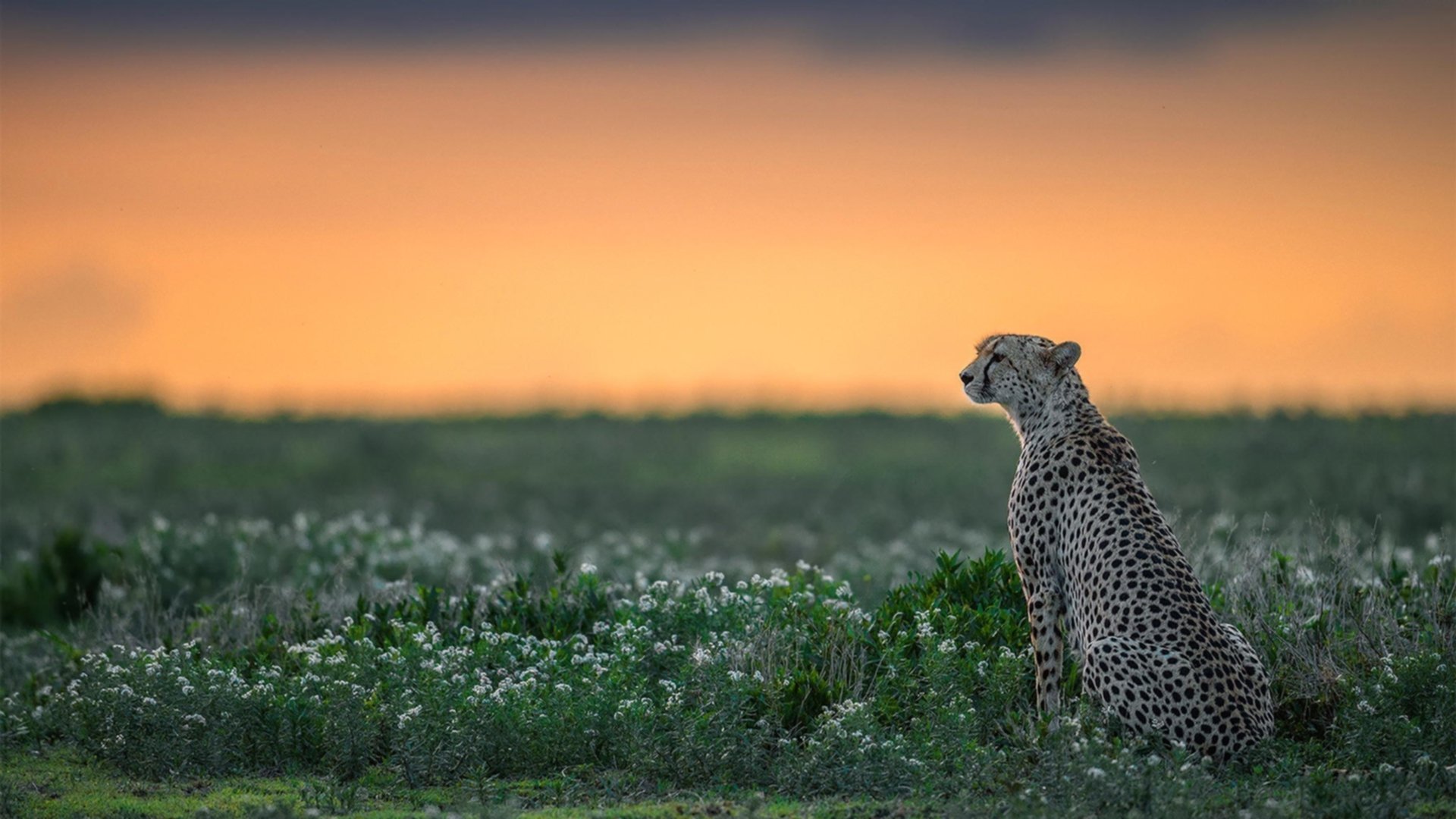 开云官方-刘伟解读：人人追逐职位折射导向引领不足